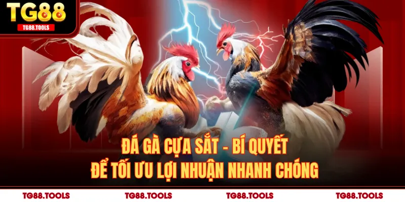 Đá Gà Cựa Sắt - Bí Quyết Để Tối Ưu Lợi Nhuận Nhanh Chóng