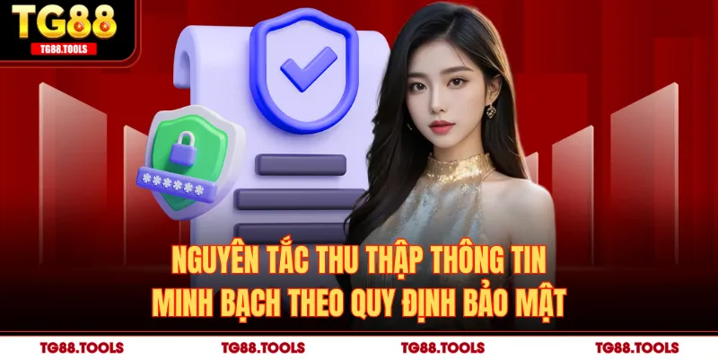 Nguyên tắc thu thập thông tin minh bạch theo quy định bảo mật